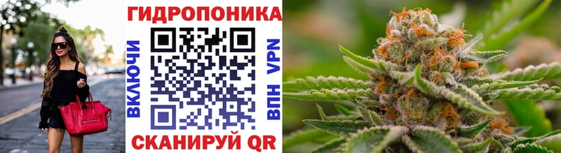 APVP Набережные Челны