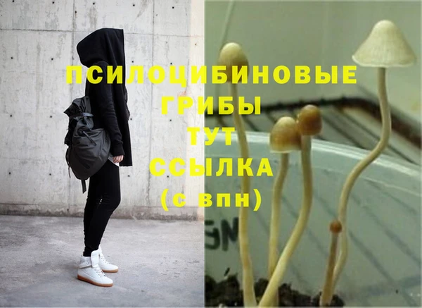 амф Кукмор