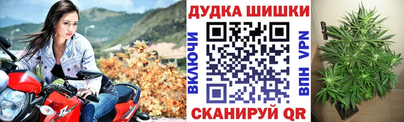 Канабис план  Набережные Челны 